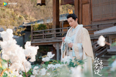 Catch Up My Prince China Web Drama